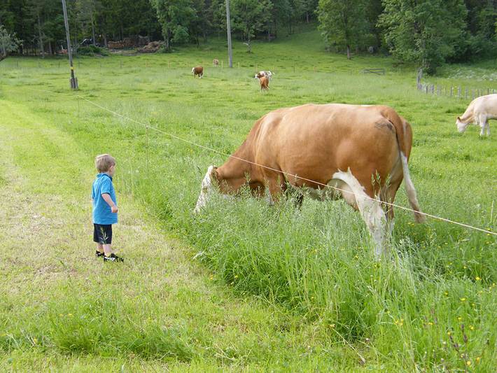 Ferienhaus für 2 Personen, mit Garten, kinderfreundlich in Bischofswiesen - 4