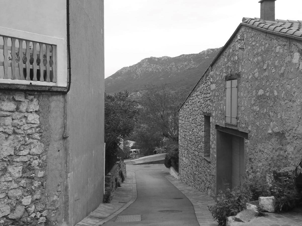 Les lavandes in Duilhac-sous-Peyrepertuse, Parc naturel régional Corbières-Fenouillèdes
