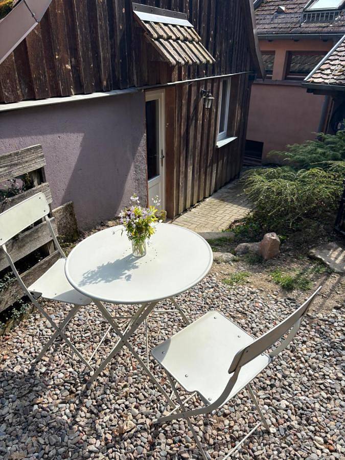 Location de vacances pour 4 personnes, avec terrasse, animaux acceptés à Bernardvillé - 2