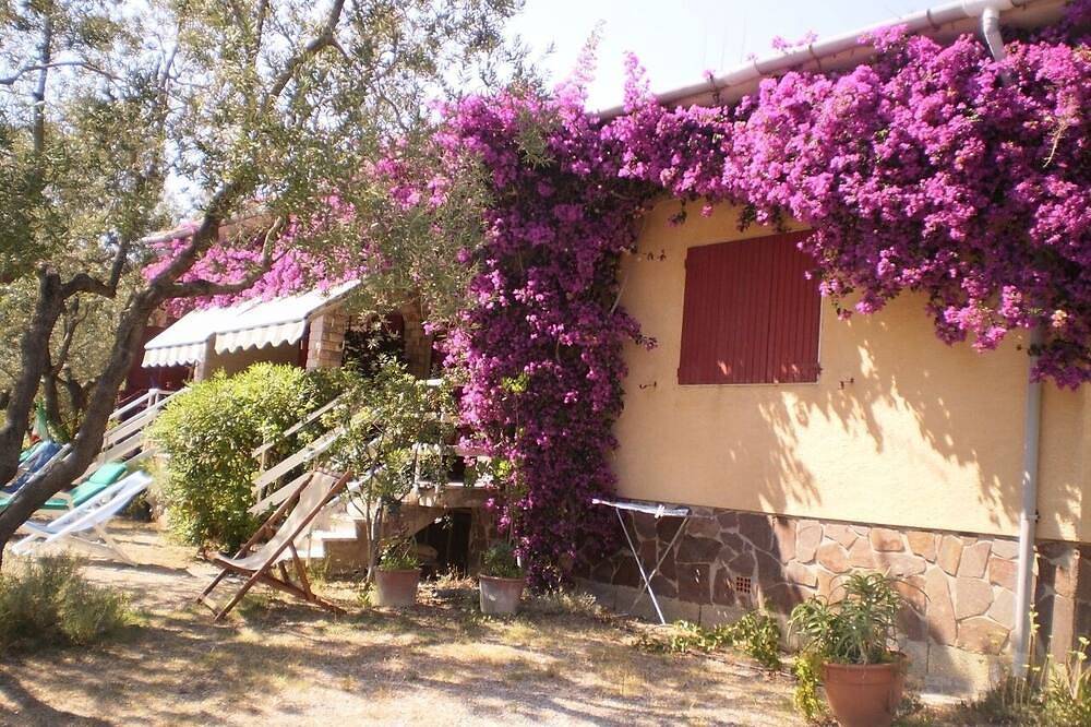 Grüne Wohnung im Olivenhain in Lacona, Capoliveri