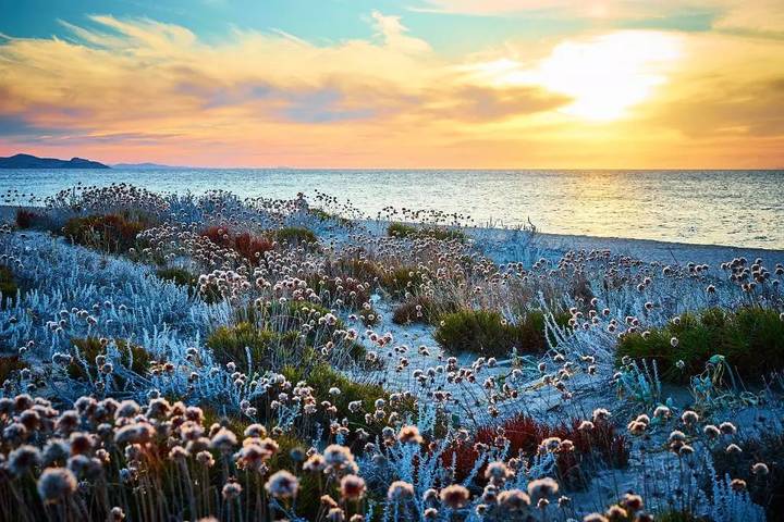 Bungalow für 4 Personen, mit Terrasse und Pool, mit Haustier auf Sardinien - 2