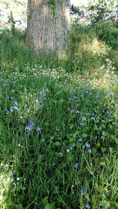 Location de vacances pour 6 personnes, avec jardin et vue à Arthon - 4