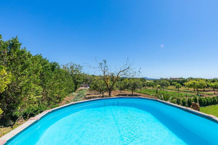 Finca mit Pool für 6 Personen, mit Garten und Kinderpool in Manacor - 3