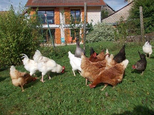 Gîte für 6 Personen mit Terrasse in La Bretenière, Doubs
