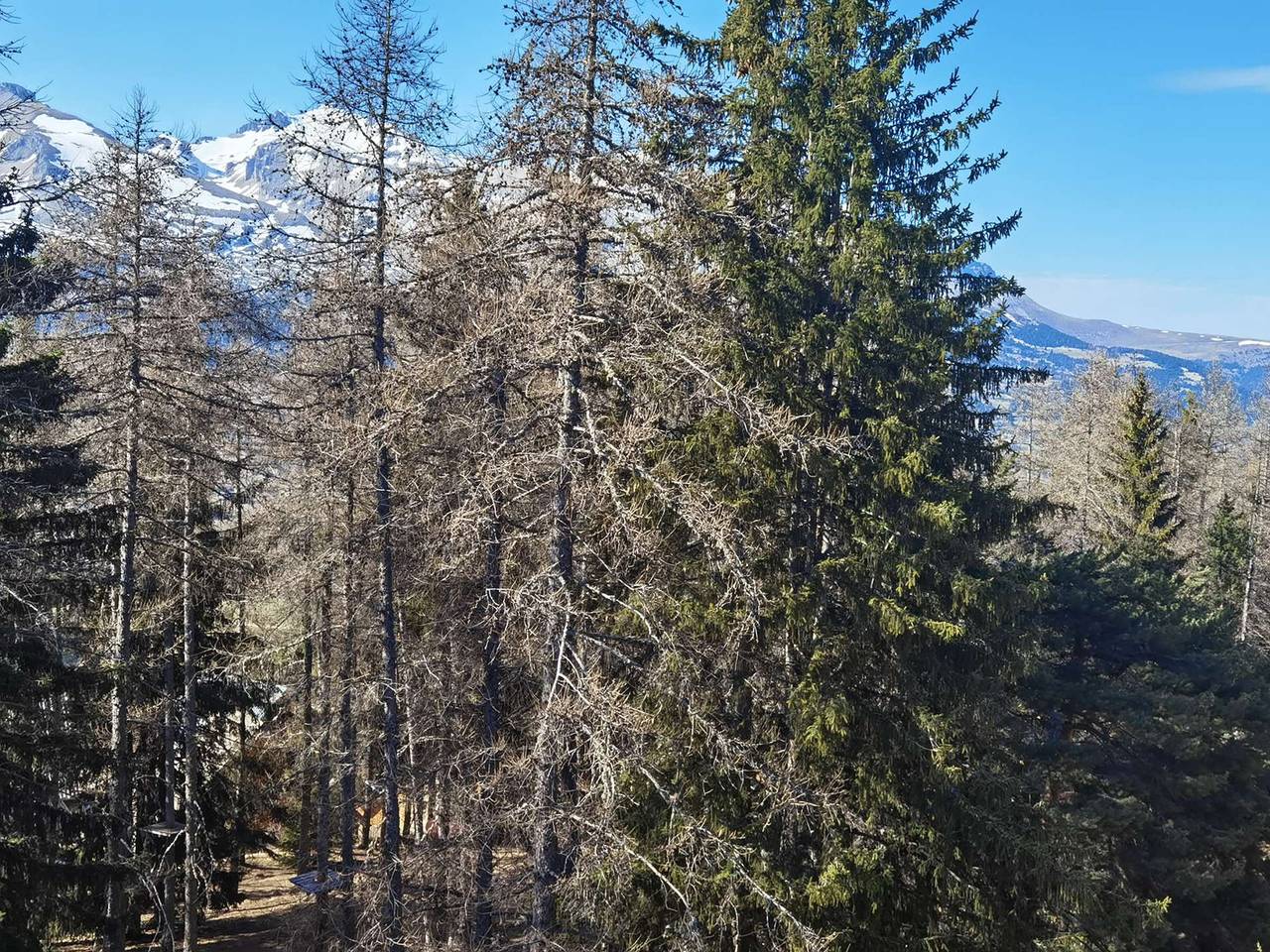 Appartement entier, Duplex pour 12 personnes avec parkings, proche des pistes - La Joue du Loup in La Joue du Loup, Le Dévoluy