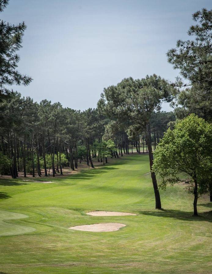 Hôtel pour 2 personnes, avec piscine et vue ainsi que sauna et jardin, animaux acceptés dans Lac de Lacanau - 4