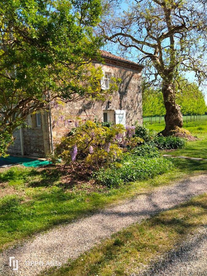 Location de vacances pour 4 personnes, avec jardin à Passage - 3