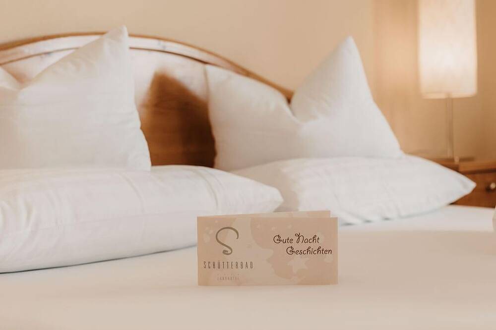 Doppelzimmer mit Dusche, Wc - Naturhotel Schütterbad in Unken, Pinzgau