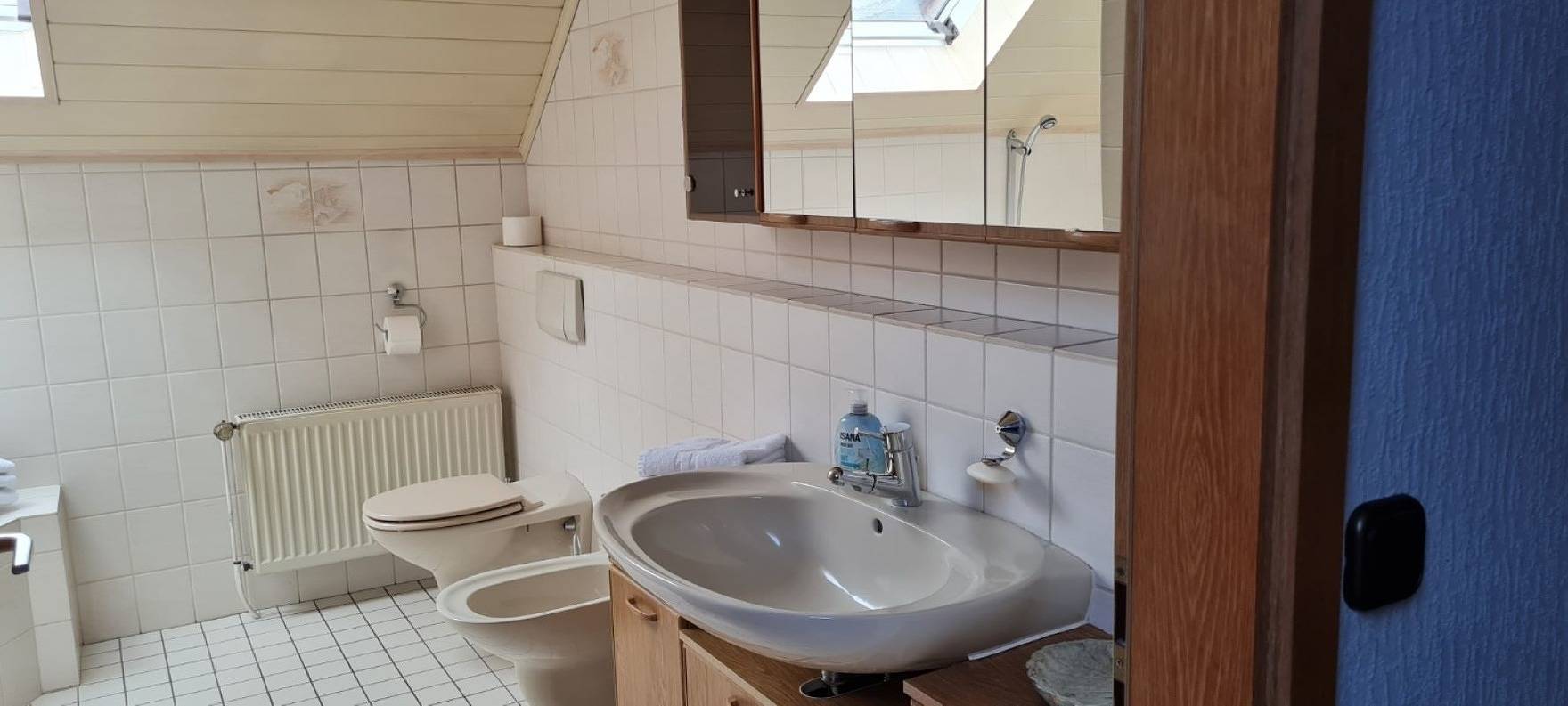 Ganze Ferienwohnung, Ferienwohnung mit Dachterrasse in Eicklingen, Landkreis Celle