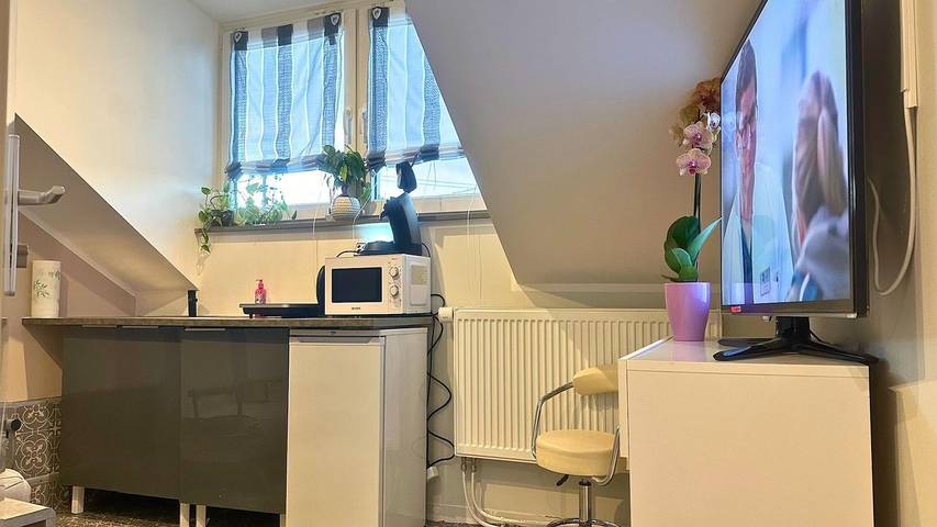 Ferienwohnung für 3 Personen, mit Haustier in Trier (Stadt) - 4