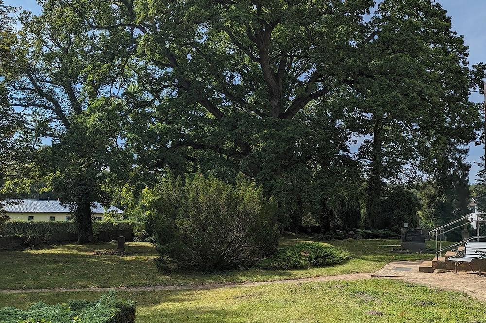 Ferienhaus für 4 Gäste mit 27m² in Stuer in Stuer, Plauer See