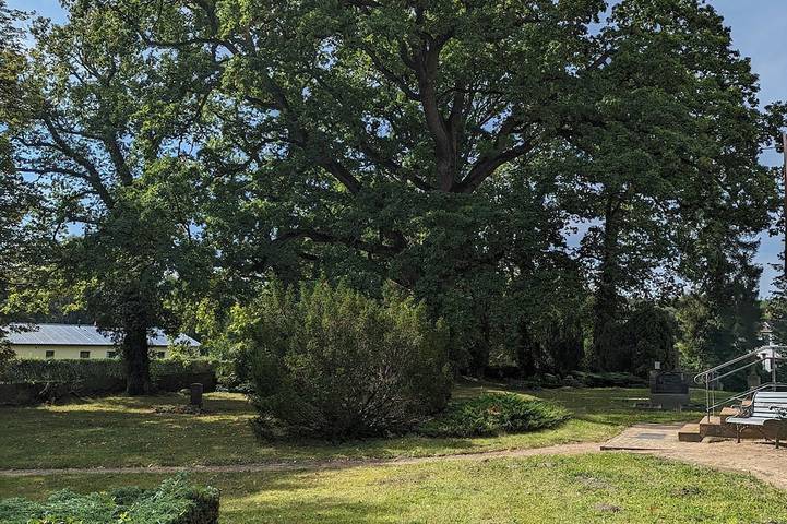 Ferienhaus für 4 Personen, mit Haustier in Stuer - 4