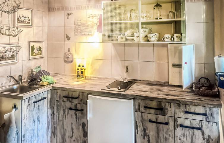 Ferienhaus für 4 Personen, mit Terrasse und Sauna, mit Haustier an der Müritz - 4