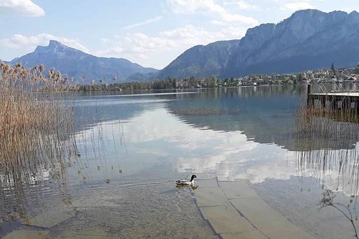 Bauernhof für 2 Personen, mit Garten am Mondsee - 3