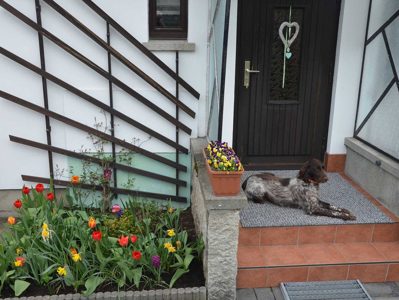 Ganze Ferienwohnung, Ferienhaus Harztraum - Ferienhaus Harztraum in Sorge, Harzvorland