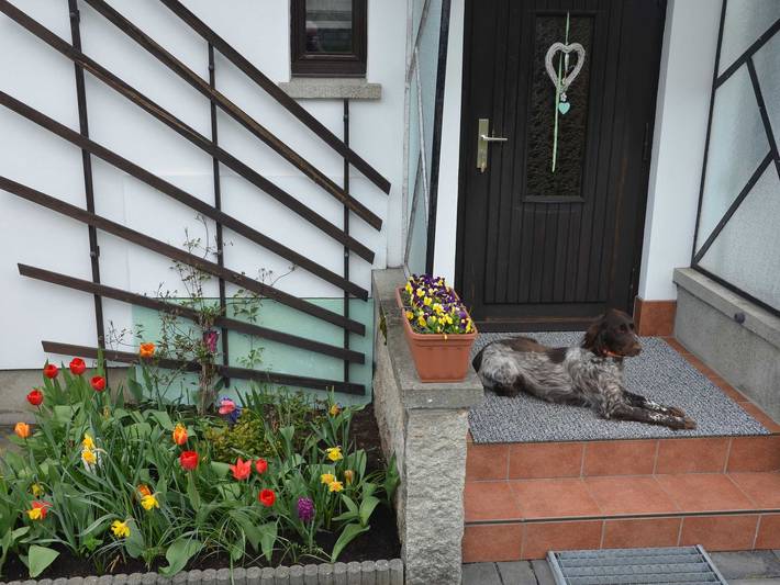 Ganze Ferienwohnung, Ferienhaus Harztraum in Sorge, Harzvorland