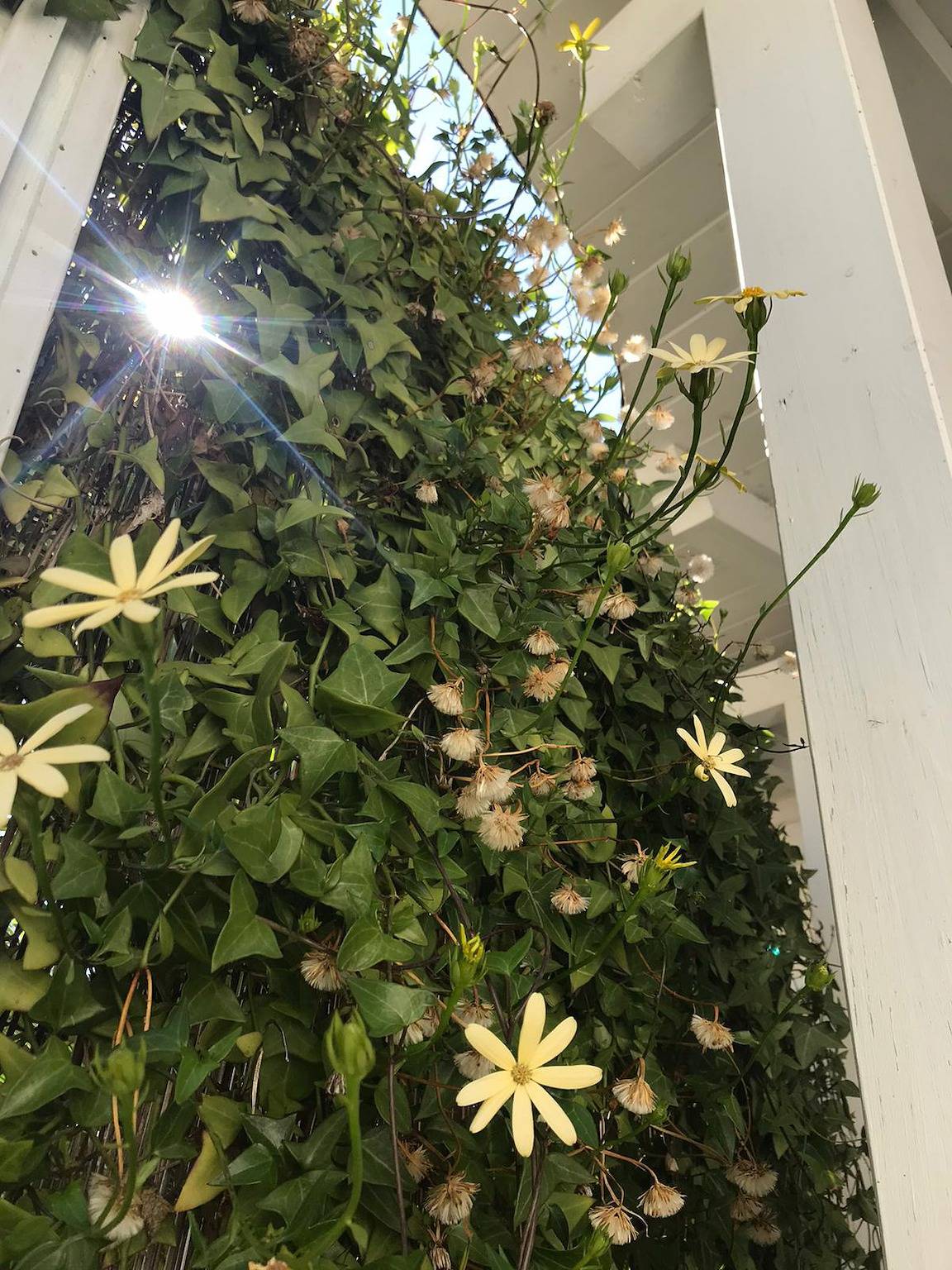 Appartamento intero, Appartamento "Beach house" con vista sull'acqua in Pollina, Provincia di Palermo