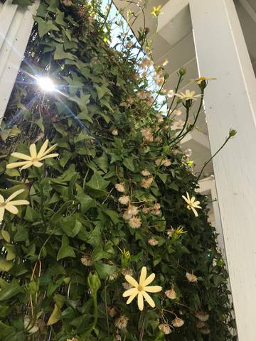 Holiday Apartment for 3 People in Pollina, Palermo Province, Photo 3