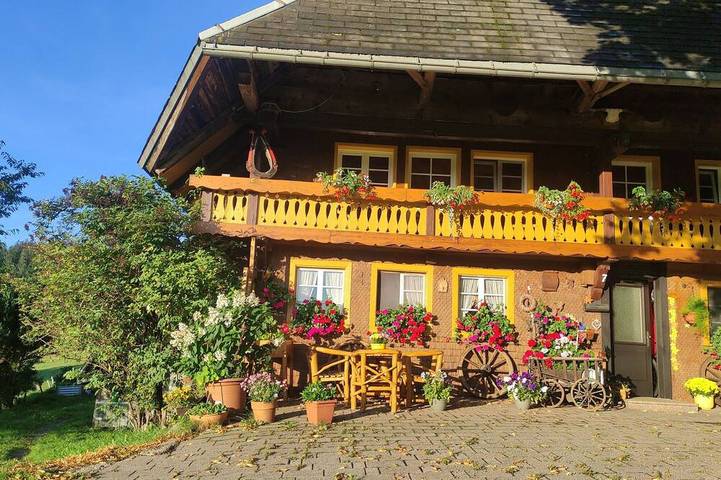 Ferienwohnung für 6 Personen, mit Garten und Balkon, mit Haustier in Hofsgrund