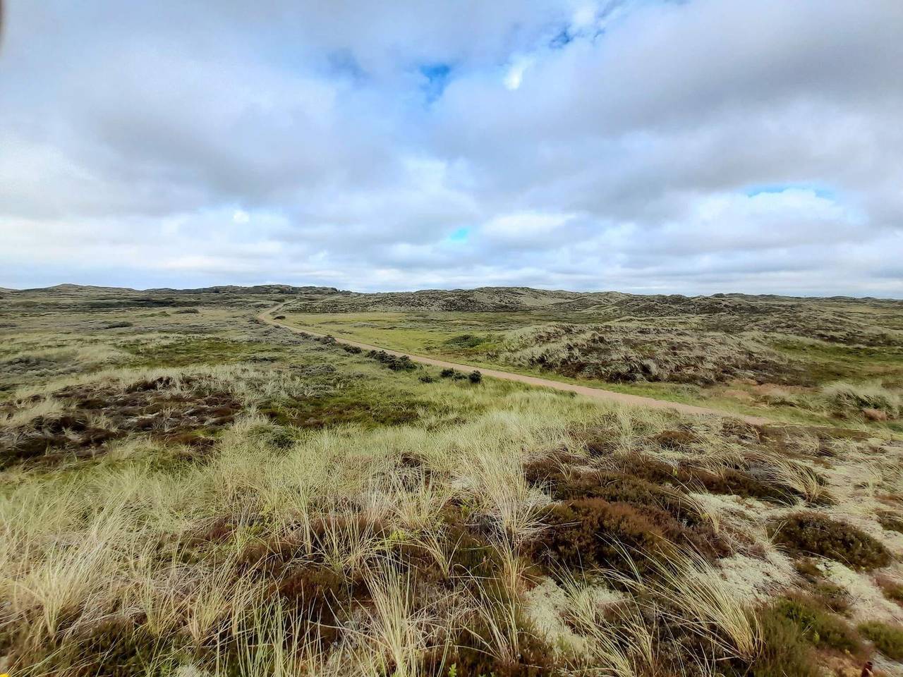 6 Personen Ferienhaus in Thisted in Thisted, Thy Nationalpark