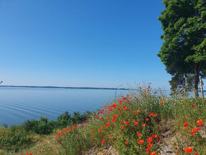 Villa für 8 Personen, mit Terrasse und Ausblick sowie Garten und Seeblick in Schweden - 4