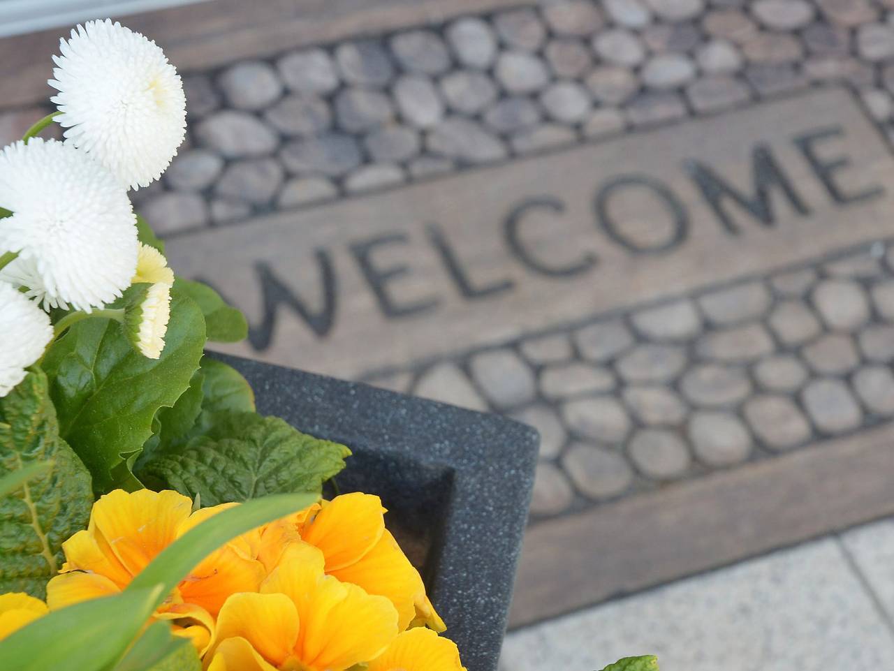 Ganze Ferienwohnung, Zipperhof - Schmetterlingswiese in Lahr, Mittlerer Schwarzwald