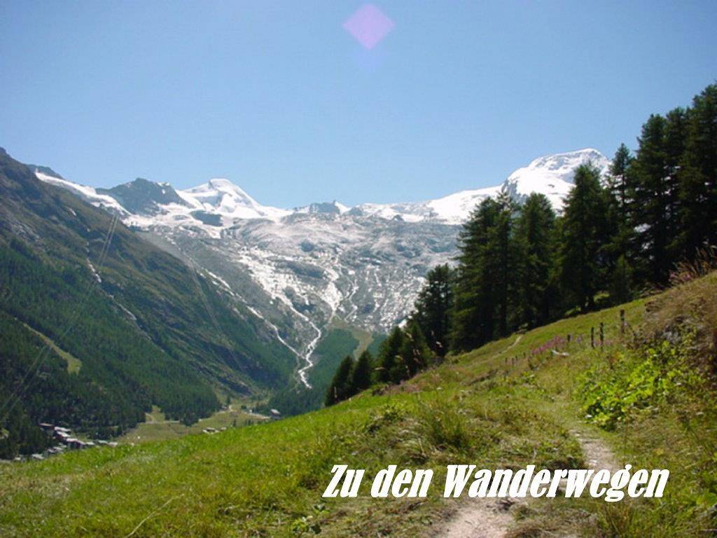 Ganze Ferienwohnung, 2-Bettwohnung Bergdistel in Saas-Fee, Walliser Alpen