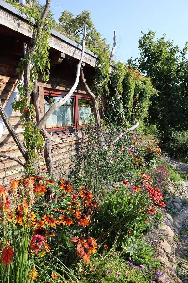 Ferienhaus für 6 Personen, mit Balkon und Terrasse sowie Garten und Ausblick in Penzlin - 4