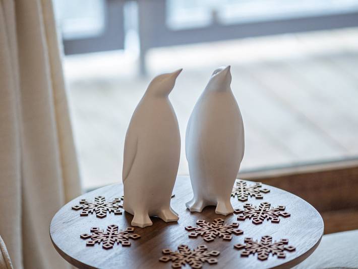 Gîte pour 6 personnes à Saint-Bon-Tarentaise - 3