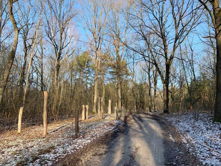 Ferienwohnung für 3 Personen, mit Garten und Ausblick sowie Seeblick in Potsdam und Umgebung - 2