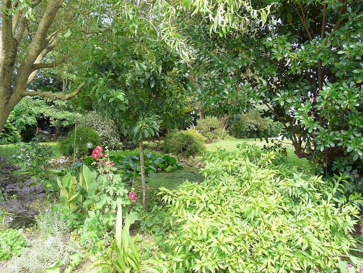 Chambre d’hôte pour 3 personnes, avec jardin en Normandie - 2