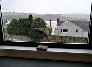 Cottage für 4 Personen in Kippford, Schottische Lowlands, Bild 2