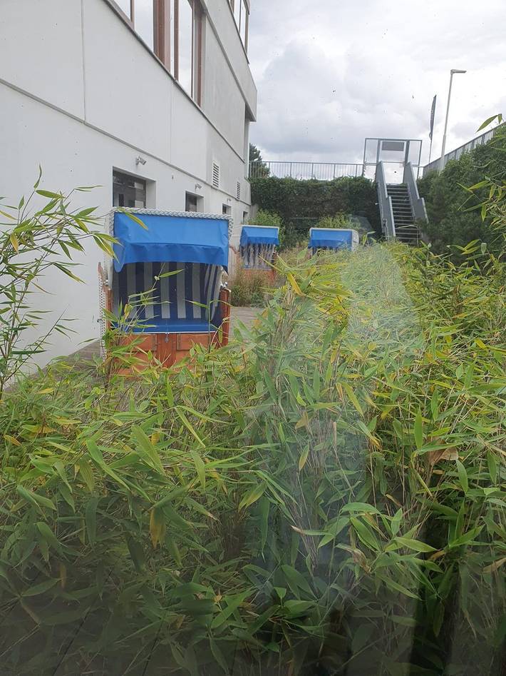 Ferienwohnung für 5 Personen, mit Sauna und Terrasse sowie Pool und Seeblick in der Lübecker Bucht - 2