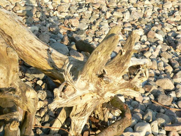 Bungalow für 2 Personen, mit Terrasse auf Rügen - 2