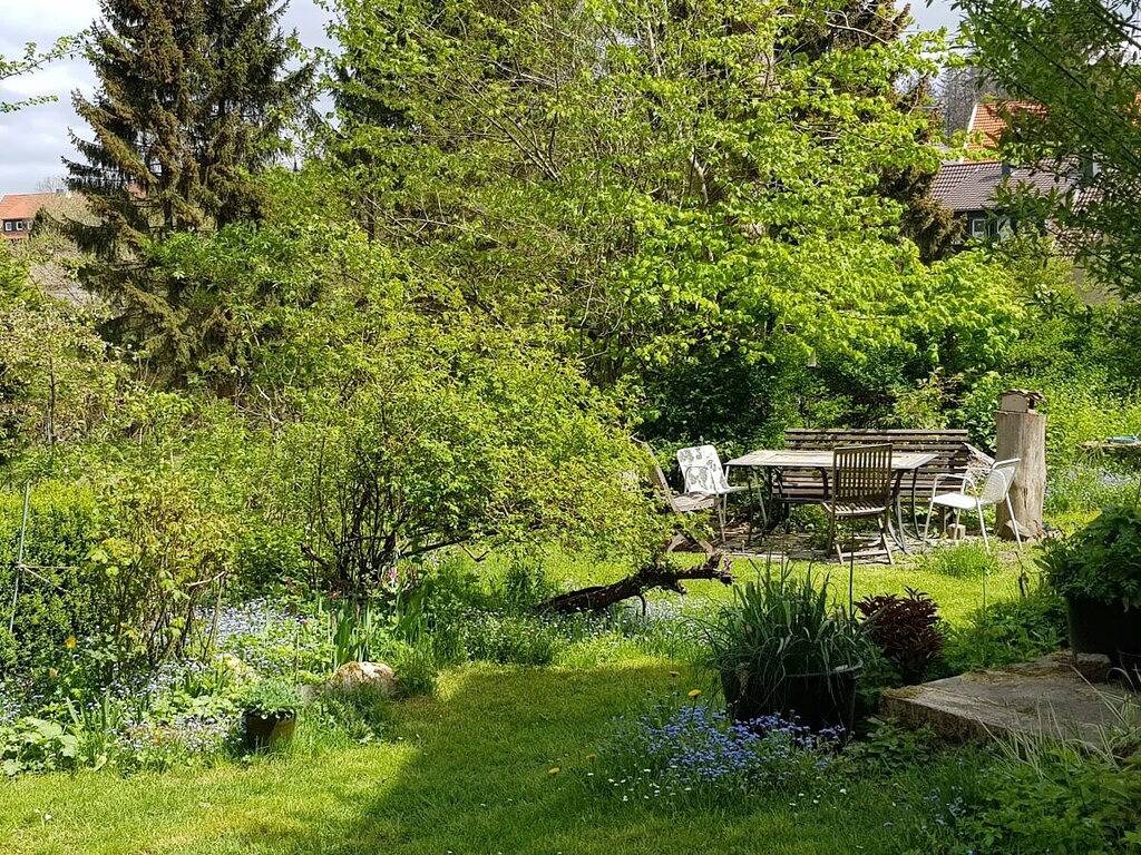 Ferienwohnung mit 3 Schlafzimmer in Hohegeiß, Harzvorland