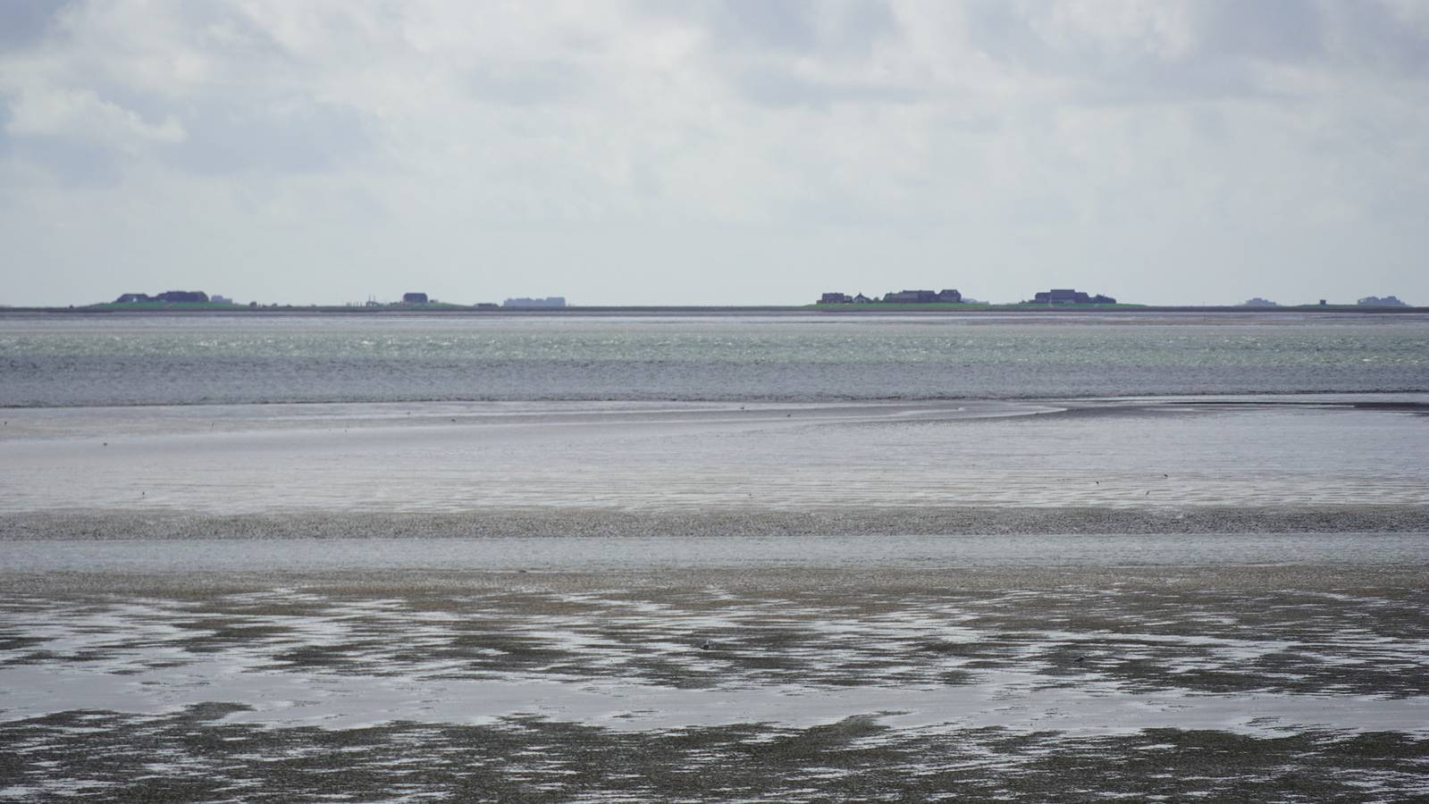 Ganze Ferienwohnung, Sandwall Whg 3 Hooge in Wyk auf Föhr (Stadt), Wyk auf Föhr