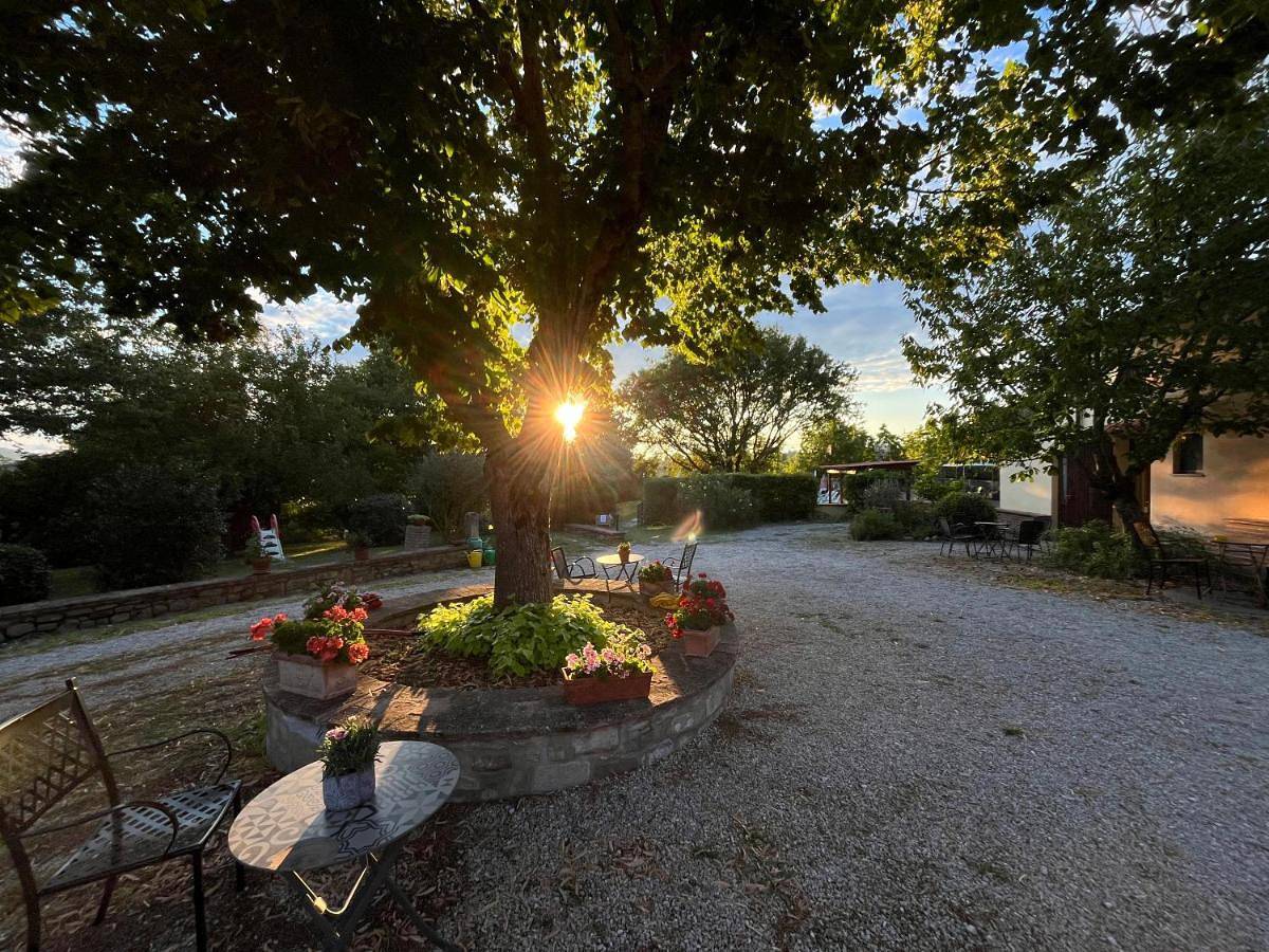 Agriturismo Collina Dei Fagiani in Umbertide, Valtiberina