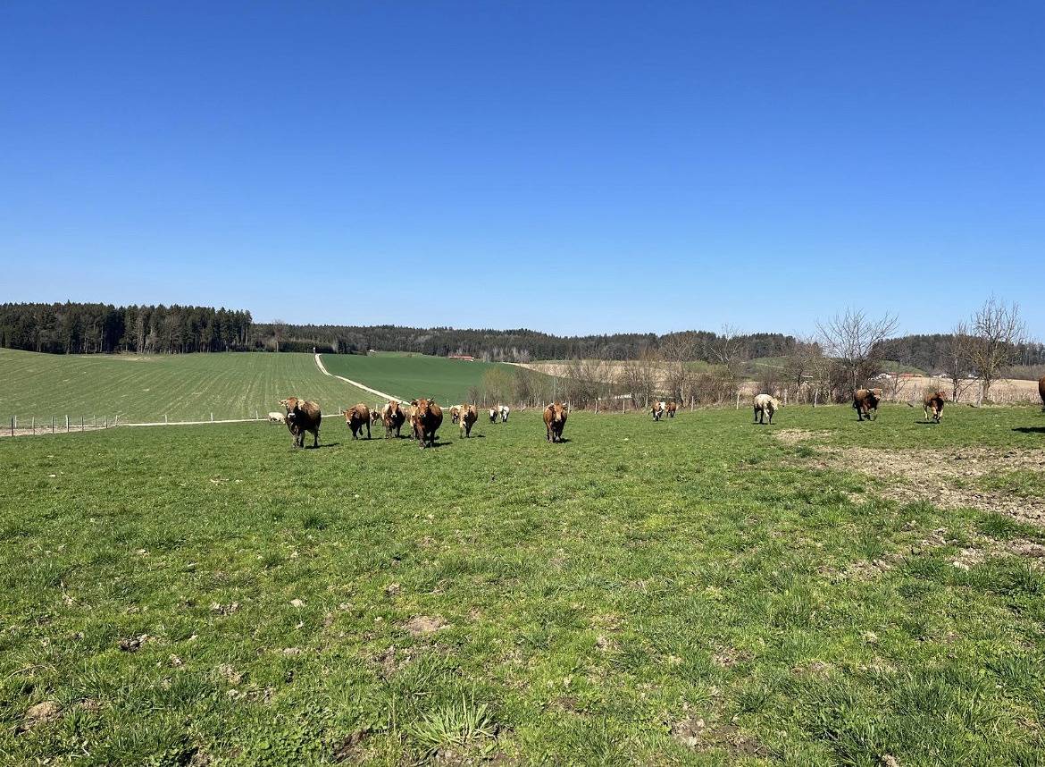 Biohof Liebhart - Ferienwohnung Lindenbaum in Obing, Landkreis Traunstein