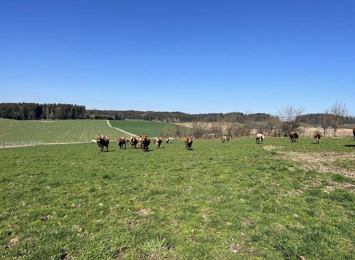 Biohof Liebhart - Ferienwohnung Weideblick in Obing, Landkreis Traunstein