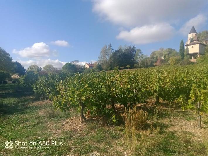 Gîte pour 2 personnes, avec vue et jardin, animaux acceptés à Labastide-de-Lévis - 2