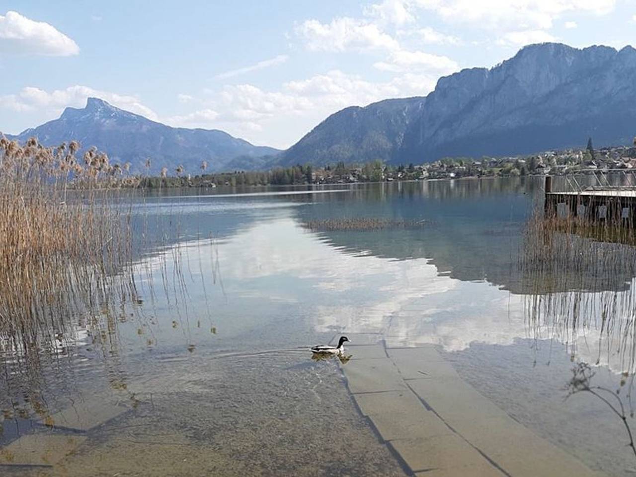 Ganze Ferienwohnung, Ferienhof Mitterbauer - Pöllmann - Ferienwohnung Seeblick Basilika in Mondsee & Irrsee