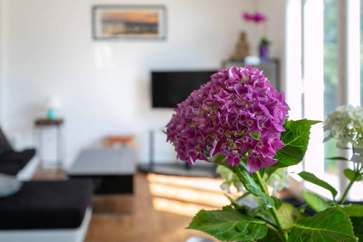 Ferienhaus für 5 Personen, mit Garten, kinderfreundlich in der Bretagne - 3