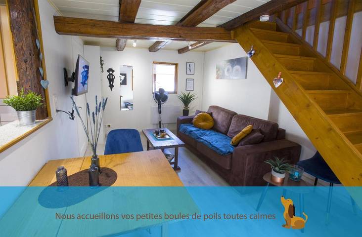 Gîte pour 4 personnes, avec terrasse à Wettolsheim - 3