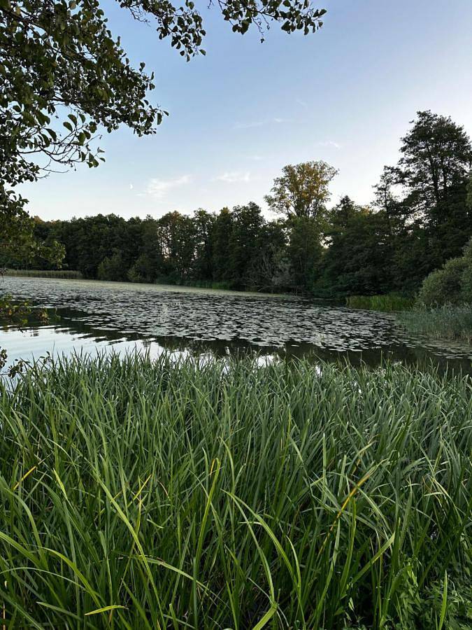 Ganze Wohnung, Apartament Vip Promenada in Sensburg, Powiat Mrągowski