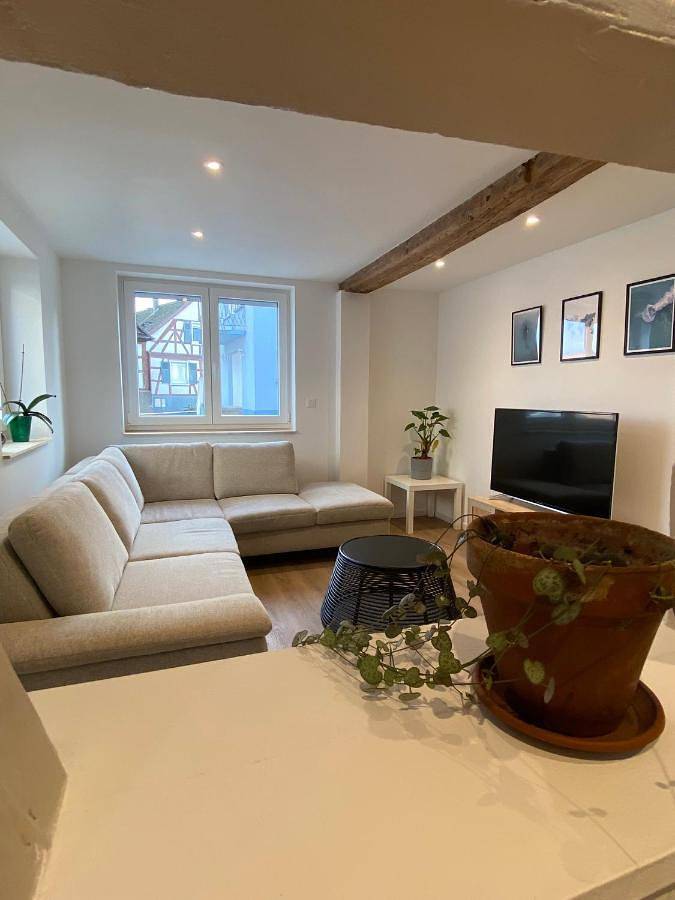 Appartement entier, Appartement confortable in Soufflenheim, Nord de l'Alsace