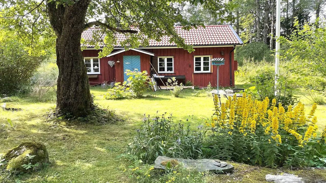 Hus för 4 Personer, med husdjur