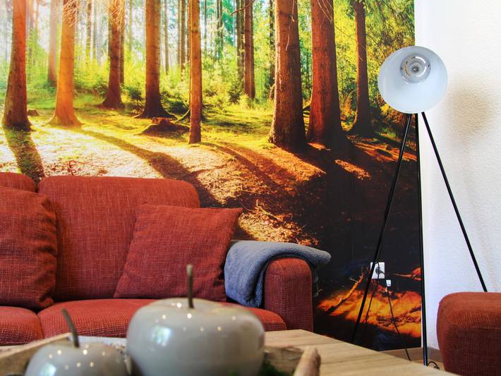 Gîte pour 3 personnes, avec jardin, animaux acceptés à Bestwig - 3