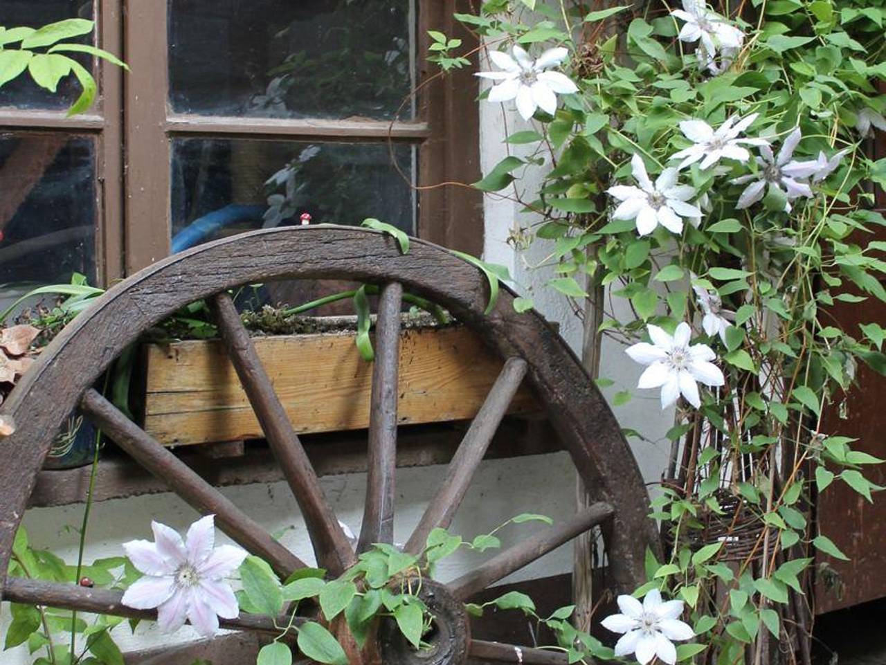 Ganze Ferienwohnung, Feriengut Trinkstorch - Fewo 3 in Leinsweiler, Trifelsland