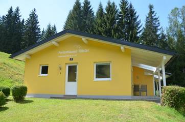 Apartament Wakacyjny dla 4 osoby w Bad Kleinkirchheim, Nockberge, Zdjęcie 3