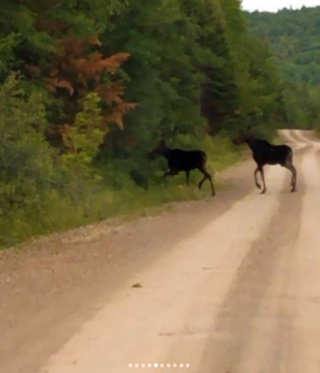 Cottage for 5 people, with hot tub and terrace as well as yard in 